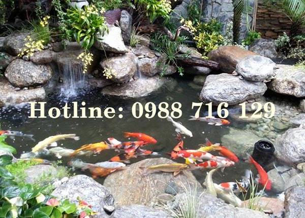 Thiết kế thi công tiểu cảnh sân vườn tại Sông Mã