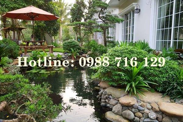 Thiết kế thi công tiểu cảnh sân vườn tại Sông Mã